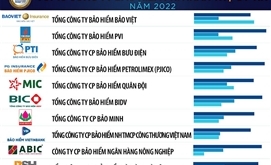 Công bố Top 10 Công ty bảo hiểm uy tín năm 2022